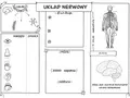 Darmowe karty pracy z przyrody: Zajęcia terenowe PDF i pomysły