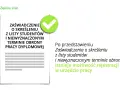 Zasiłek po studiach? Sprawdź, jak go zdobyć i uniknąć błędów