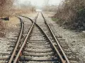 Rozwidlenie torów kolejowych w otoczeniu dzikiej roślinności.