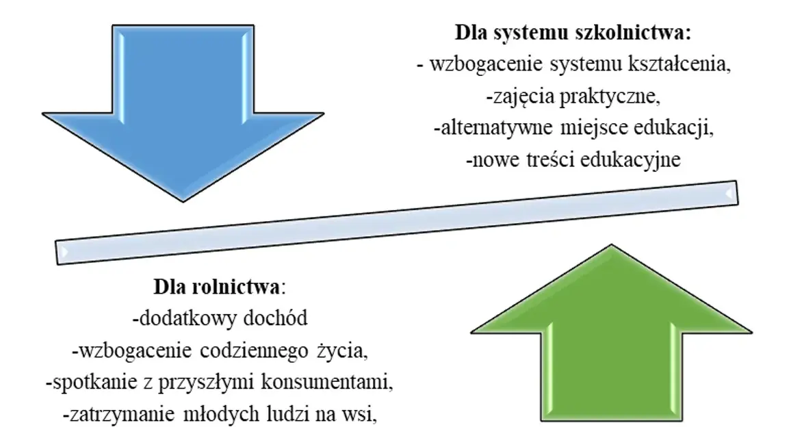 Zagroda edukacyjna: Jak założyć i odnieść sukces? Kompletny poradnik