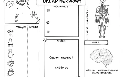 Darmowe karty pracy z przyrody: Zajęcia terenowe PDF i pomysły