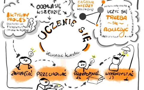Jak efektywnie się uczyć? Opanuj mózg i techniki sukcesu!