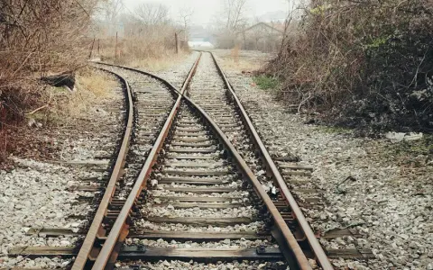Rozwidlenie torów kolejowych w otoczeniu dzikiej roślinności.