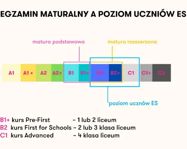 Idealny kurs angielskiego dla dziecka? 7 kryteriów wyboru!