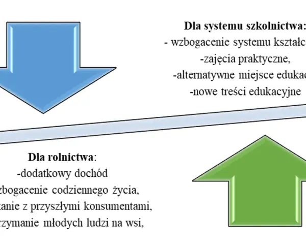 Zagroda edukacyjna: Jak założyć i odnieść sukces? Kompletny poradnik
