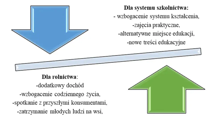 Zagroda edukacyjna: Jak założyć i odnieść sukces? Kompletny poradnik