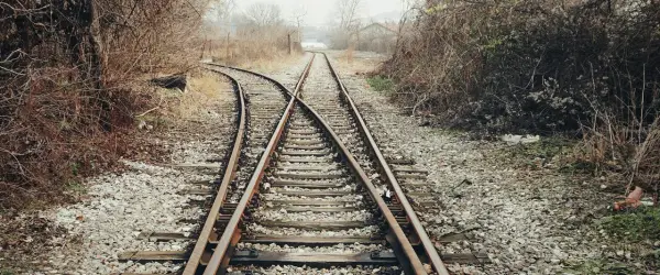 Rozwidlenie torów kolejowych w otoczeniu dzikiej roślinności.